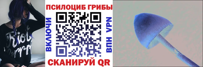 Псилоцибиновые грибы мицелий  Купить закладки  Тихвин 